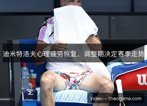 迪米特洛夫心理疲劳恢复，调整期决定赛季走势